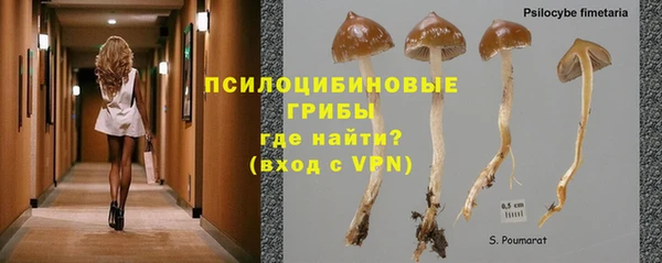 прущий лед Арсеньев