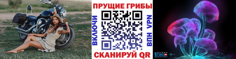 Псилоцибиновые грибы прущие грибы  МЕГА ТОР  Майкоп  как найти закладки 