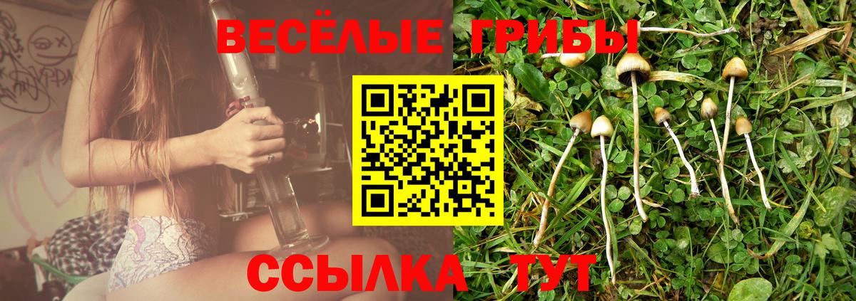 Галлюциногенные грибы ЛСД Майкоп